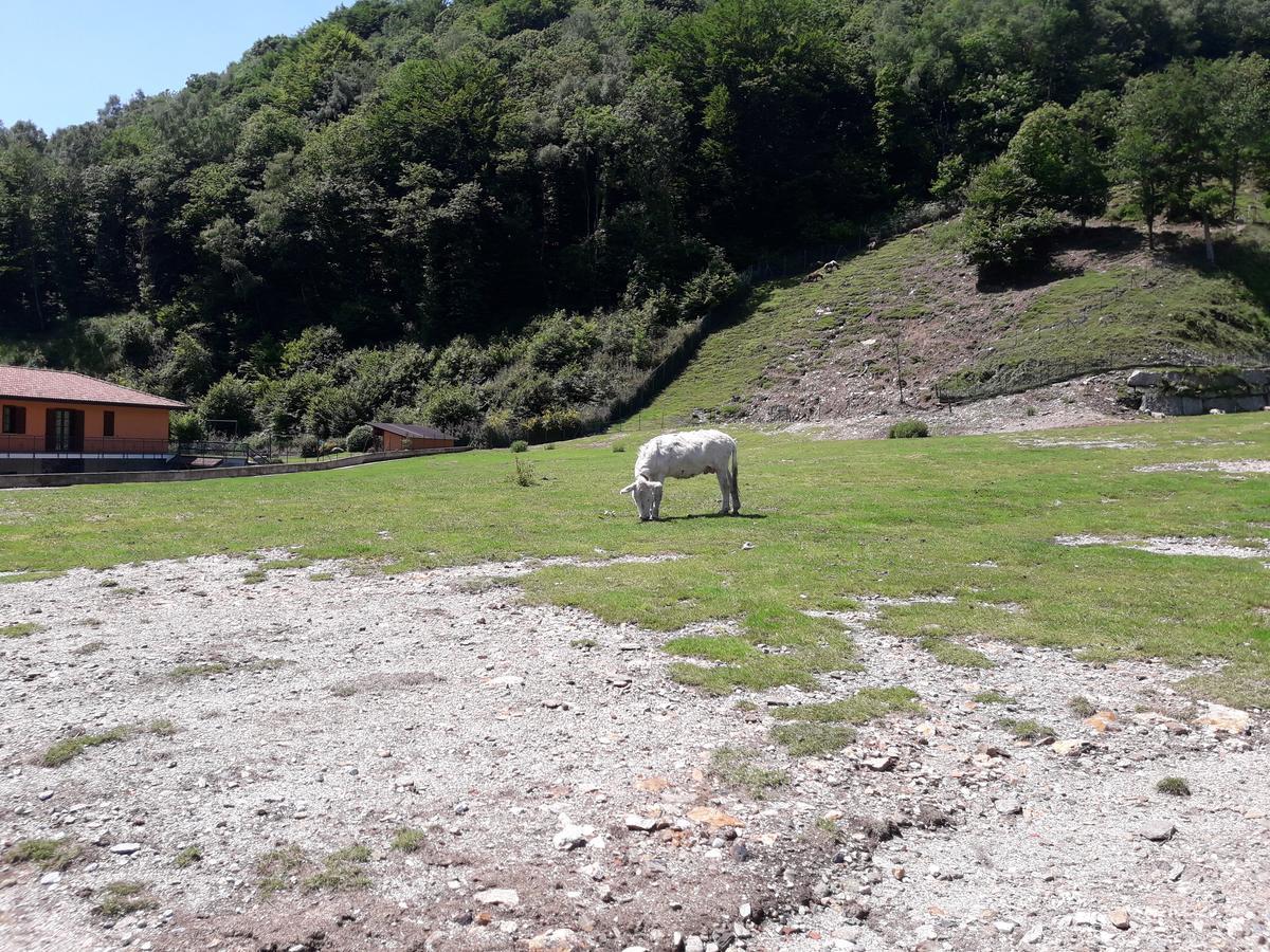 Agriturismo La Miniera Gignese Kültér fotó